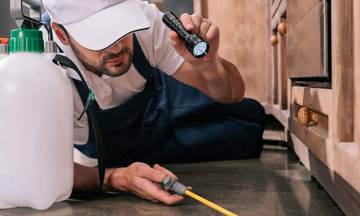 Pest Control Products: Keeping Unwanted Guests Out, Worldwide